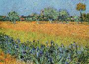 Vincent Van Gogh View of Arles With Iris Germany oil painting reproduction
